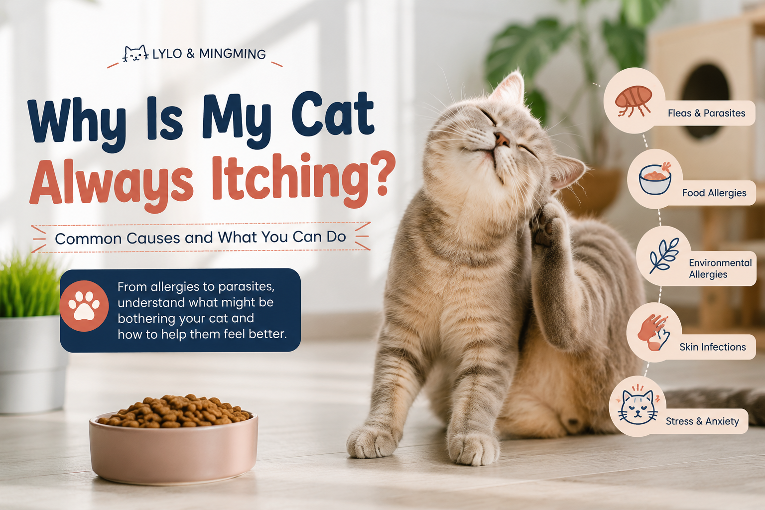Cat scratching its neck with common causes of itching in cats explained