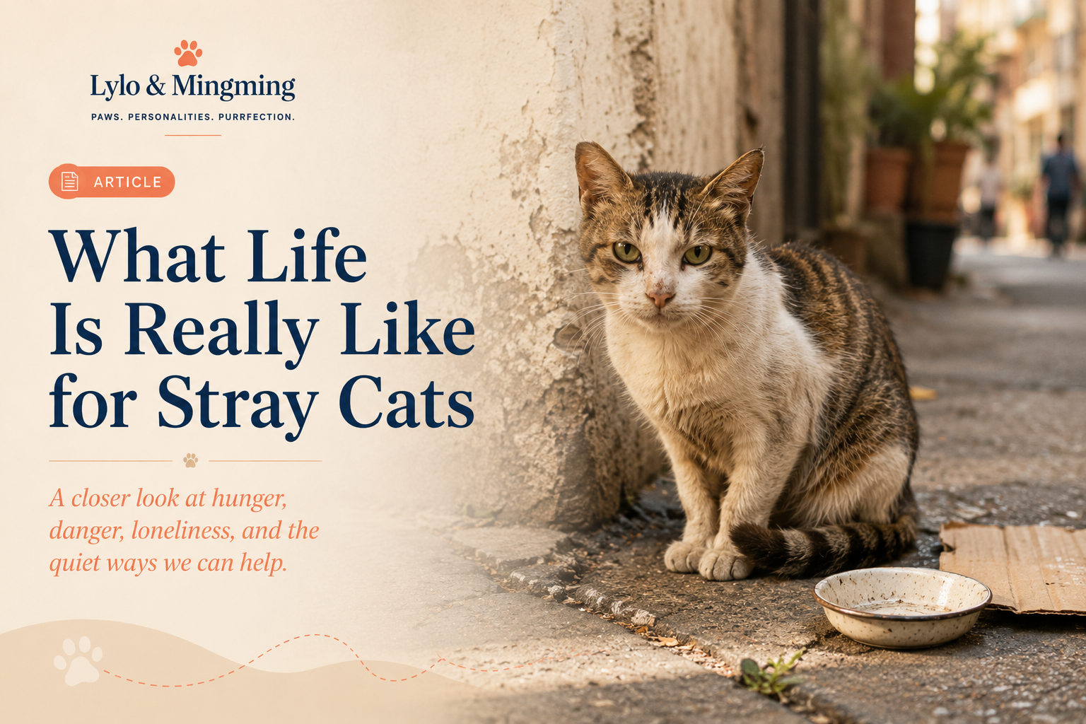 Stray cat sitting beside an empty food bowl on a quiet street